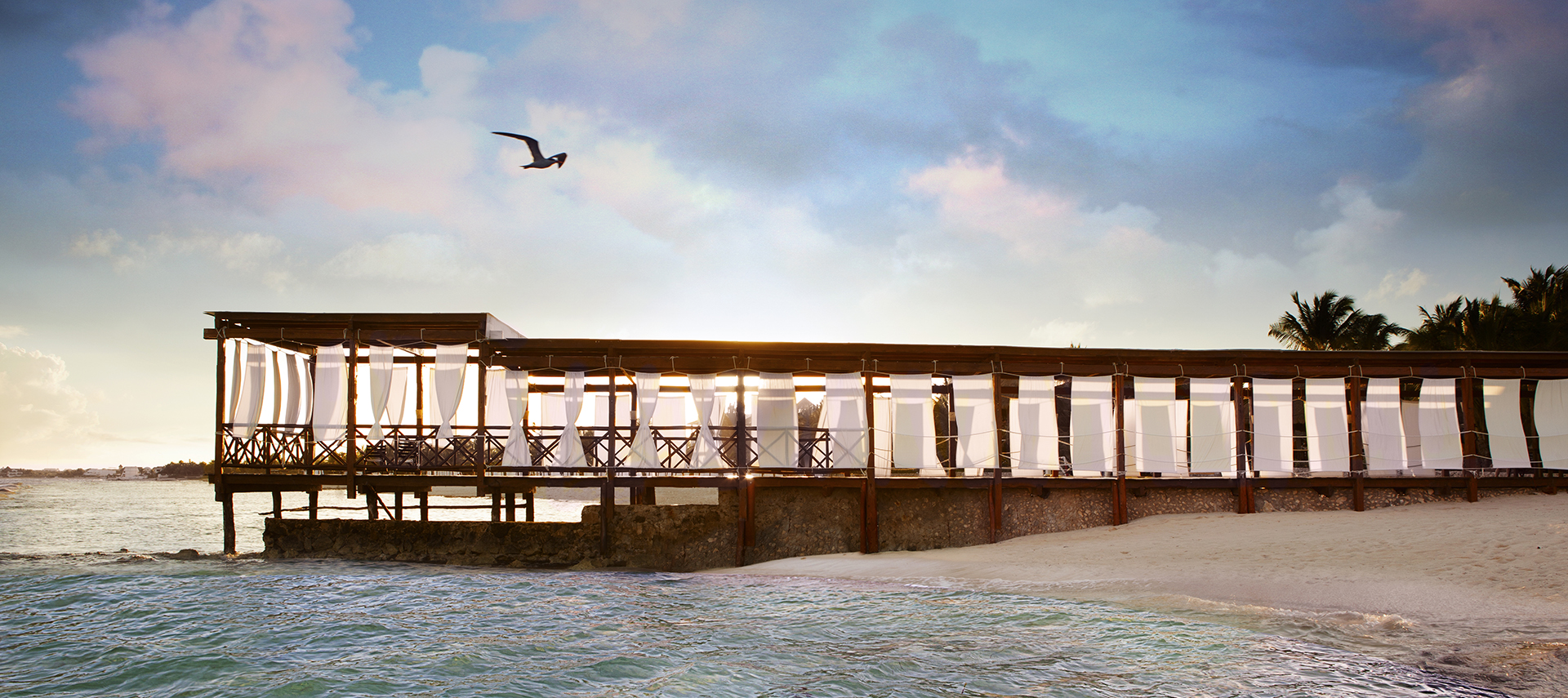 astonishing caribbean seafood dining at el dorado royale in riviera maya cancun